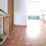Rurales Rad Icarium Radiquero