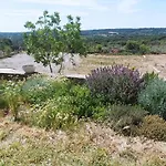 Rurales Rad Icarium