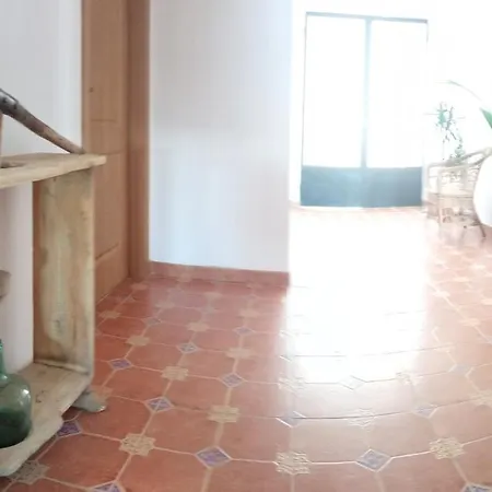 Rurales Rad Icarium Radiquero