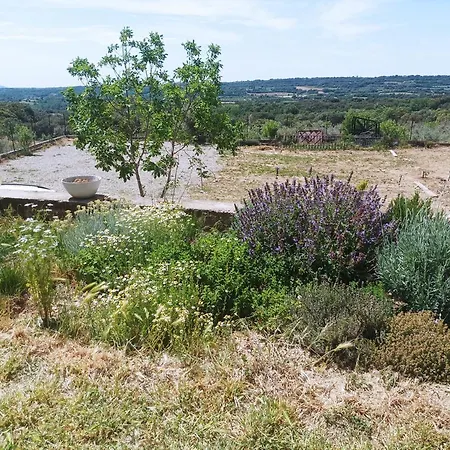 Rurales Rad Icarium
