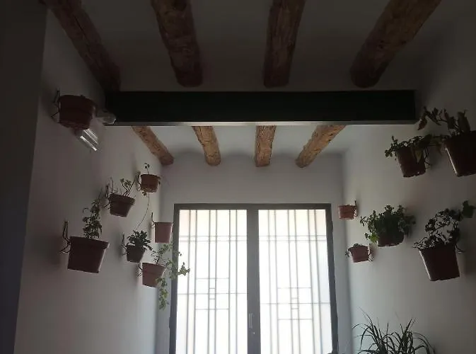 Rurales Rad Icarium Lägenhetshotell Radiquero